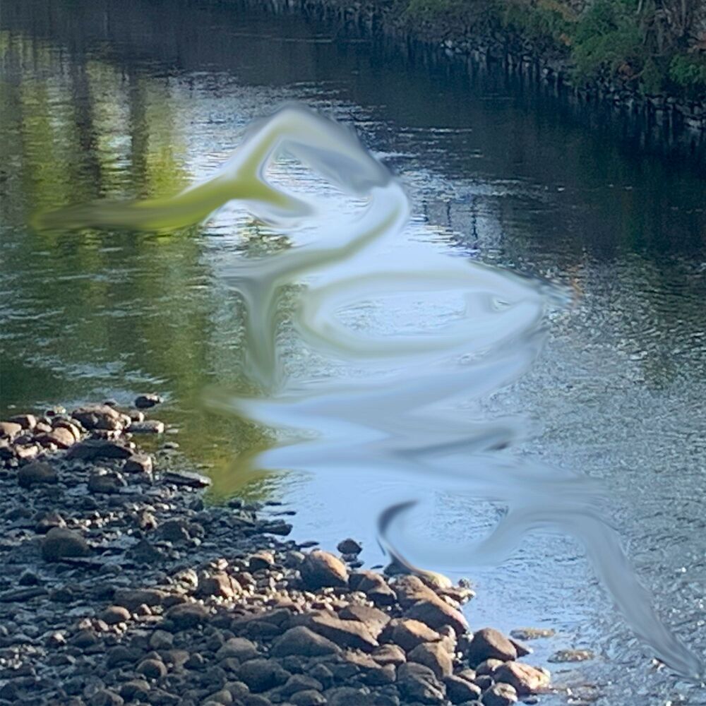 Picture of Flows