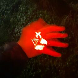 Cover of Reasons