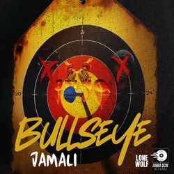 Cover of Bullseye