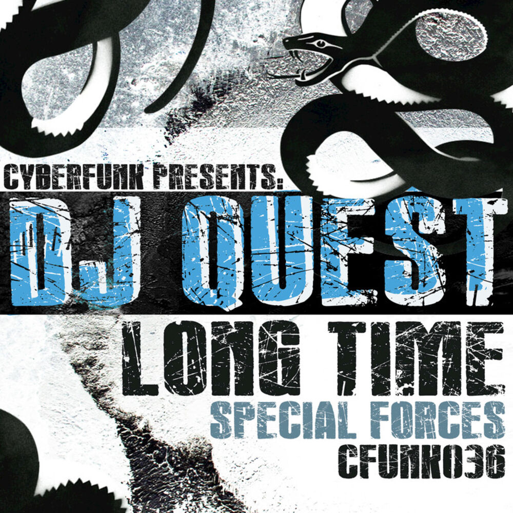 Picture of Long Time / Special Forces