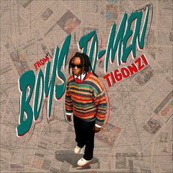 Cover of From Boys To Men