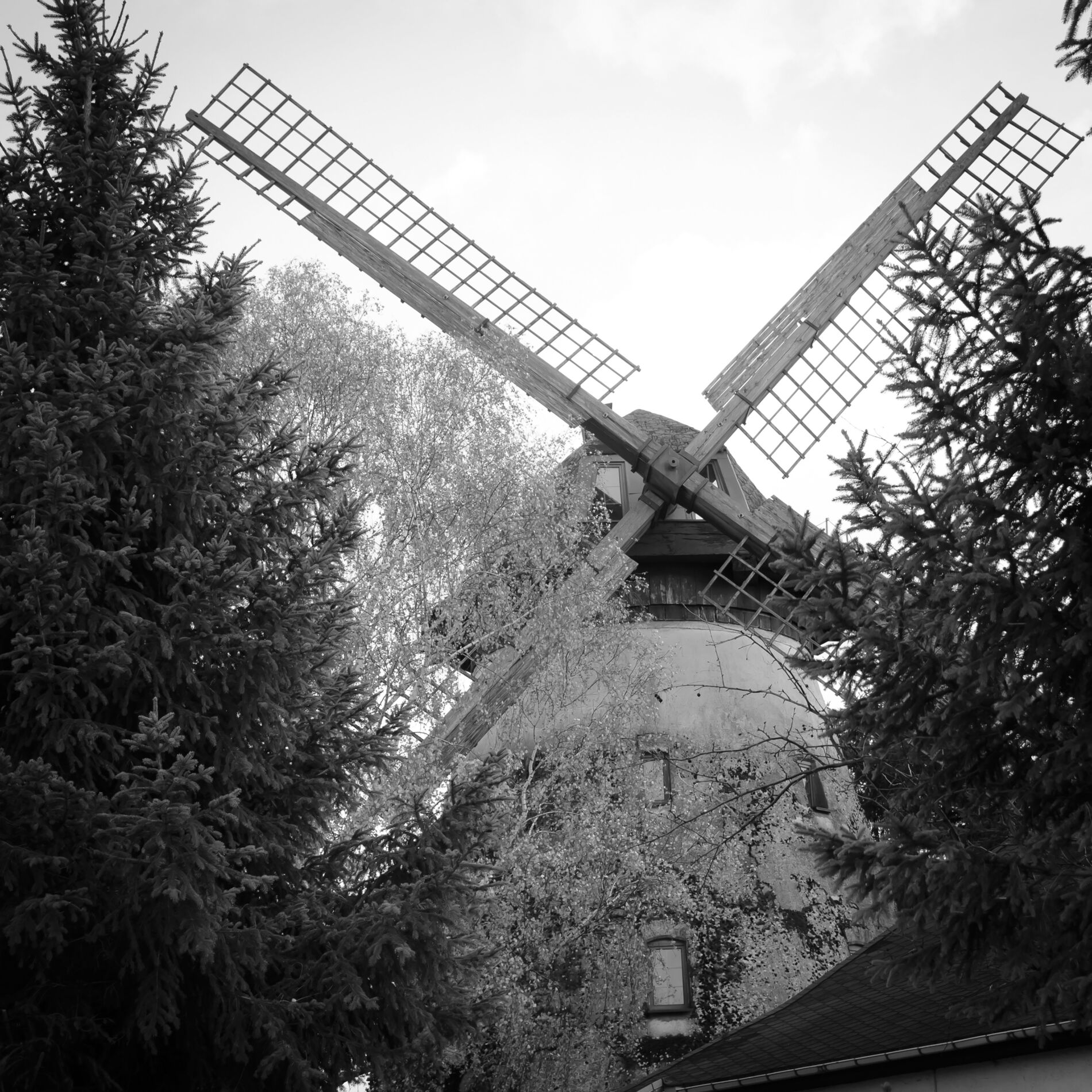 Album cover of Napauken