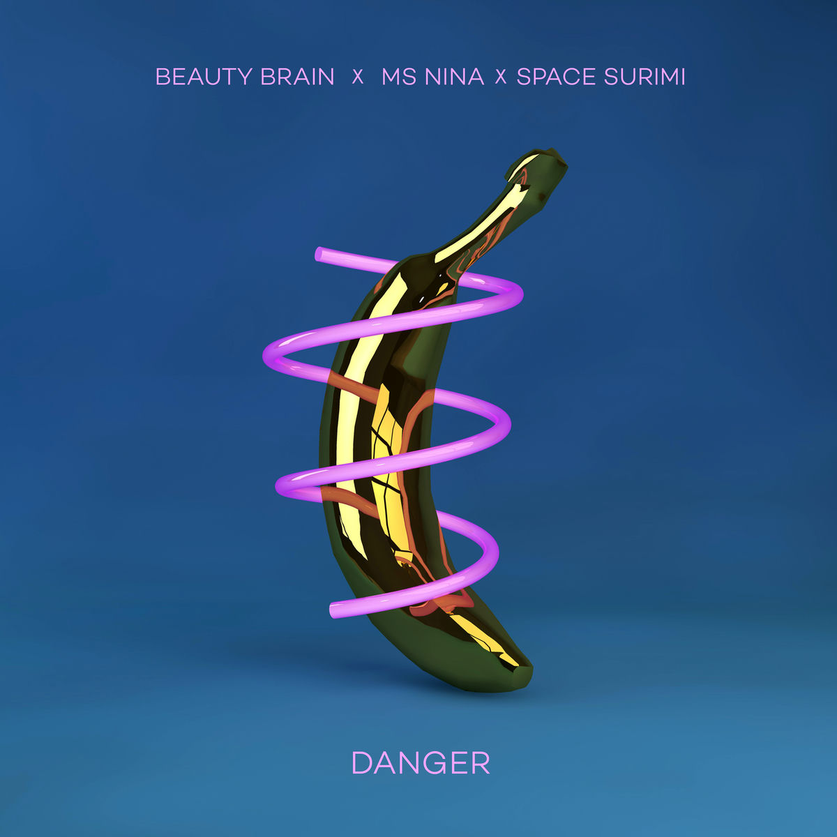 Album cover of Danger