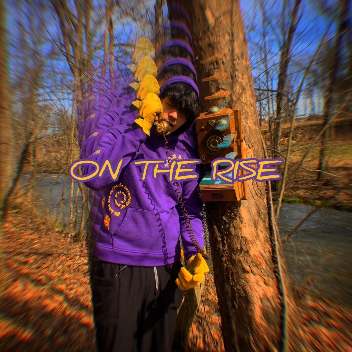 Album cover of ON THE RISE