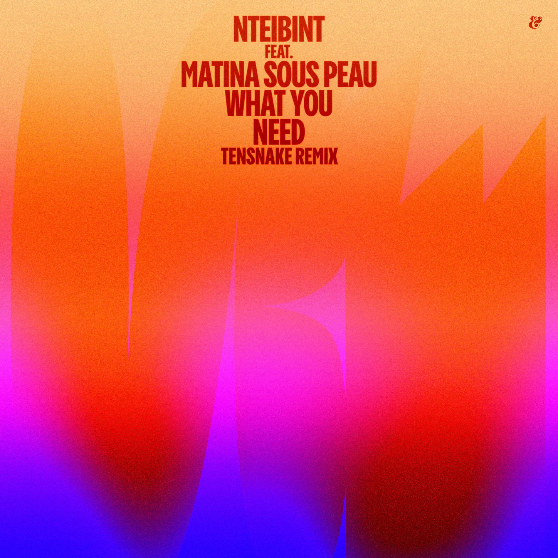 Album cover of What You Need (Tensnake Remix)