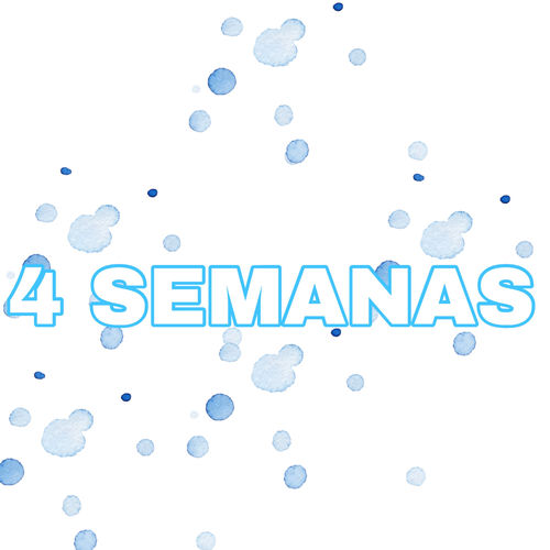4 Semanas