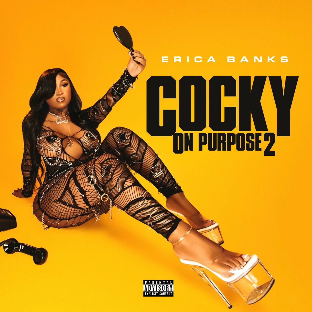 Album cover of Cocky on Purpose 2