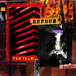 Cover of Red Flag