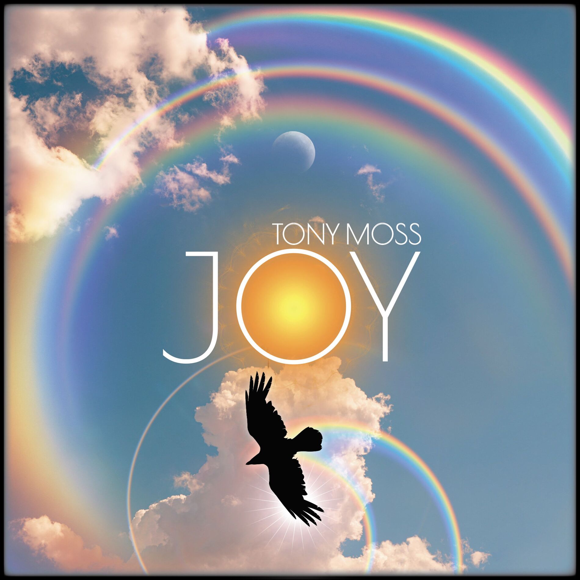 Album cover of JOY