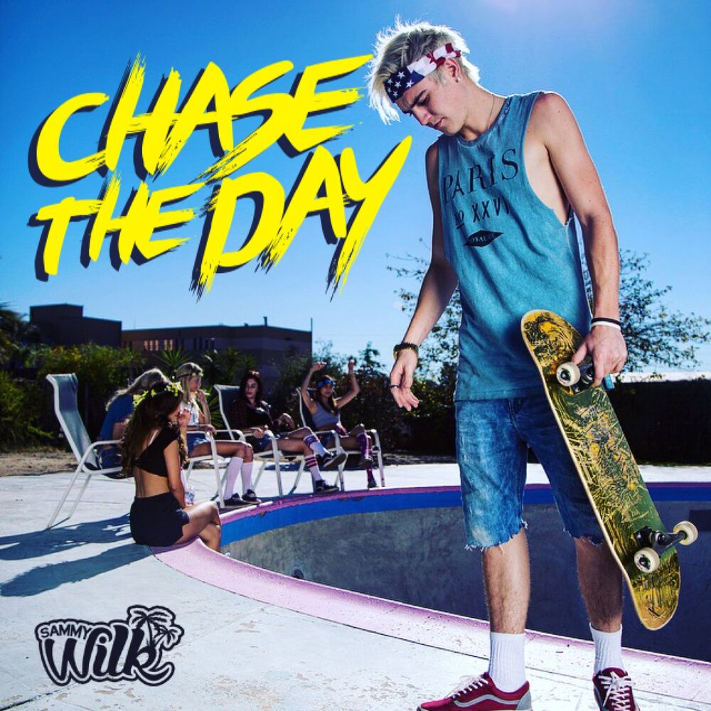 Picture of Chase The Day