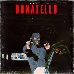 Cover of Donatello