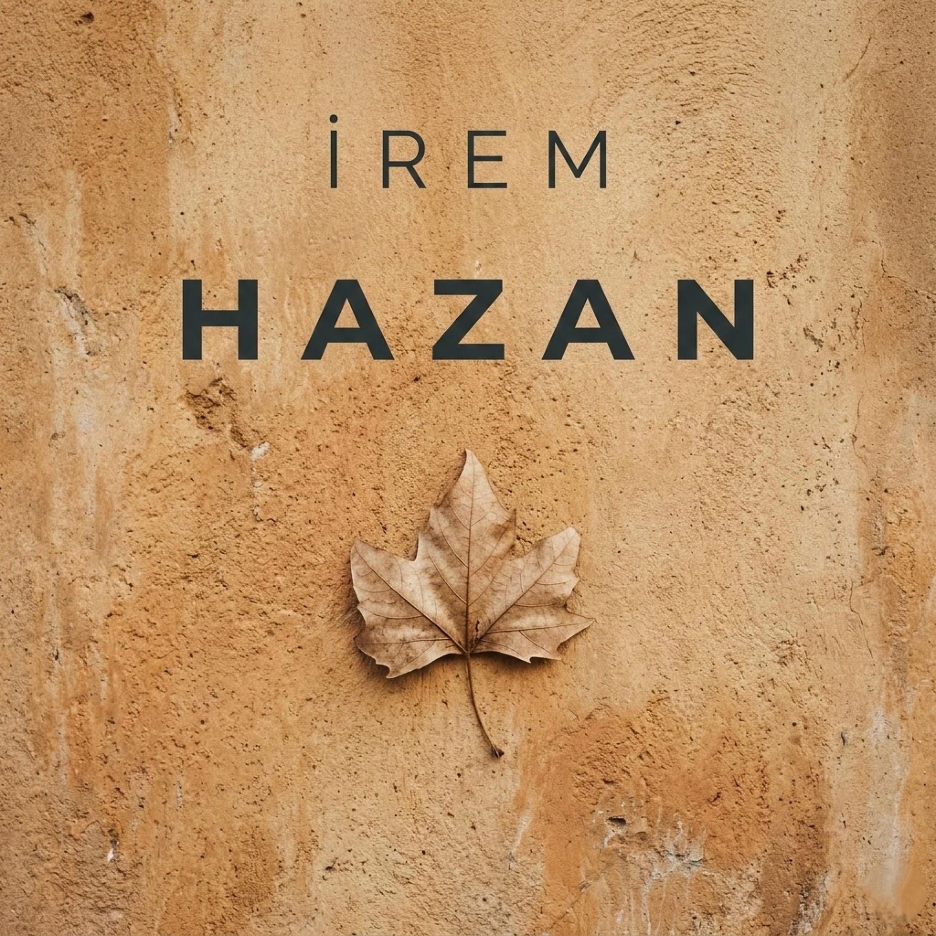 Album cover of Hazan