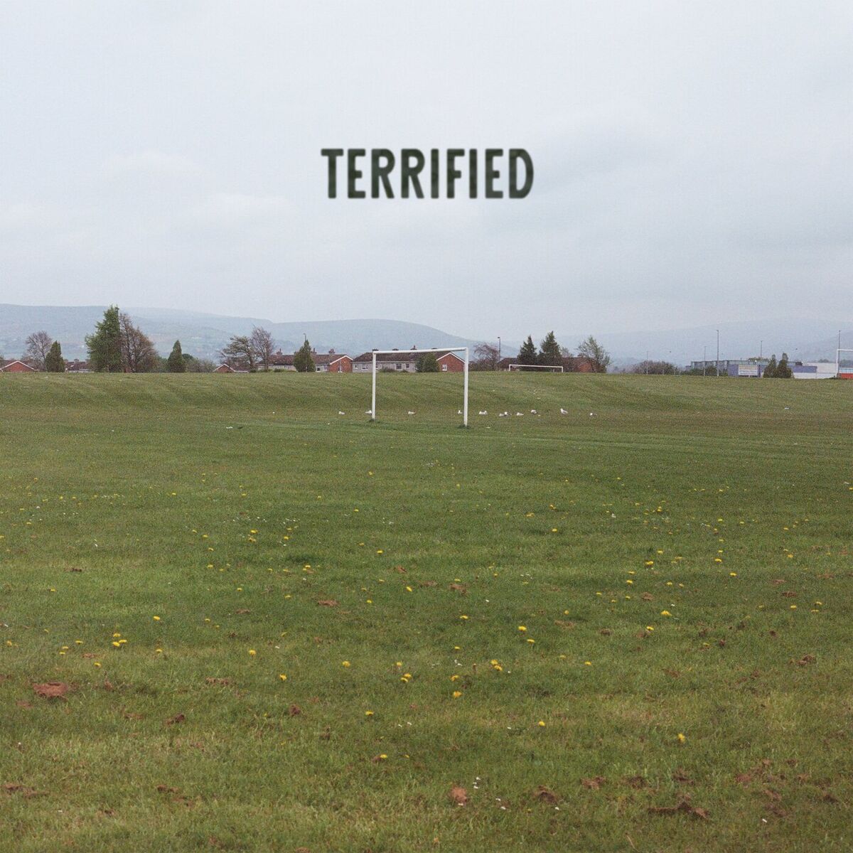 Album cover of Terrified