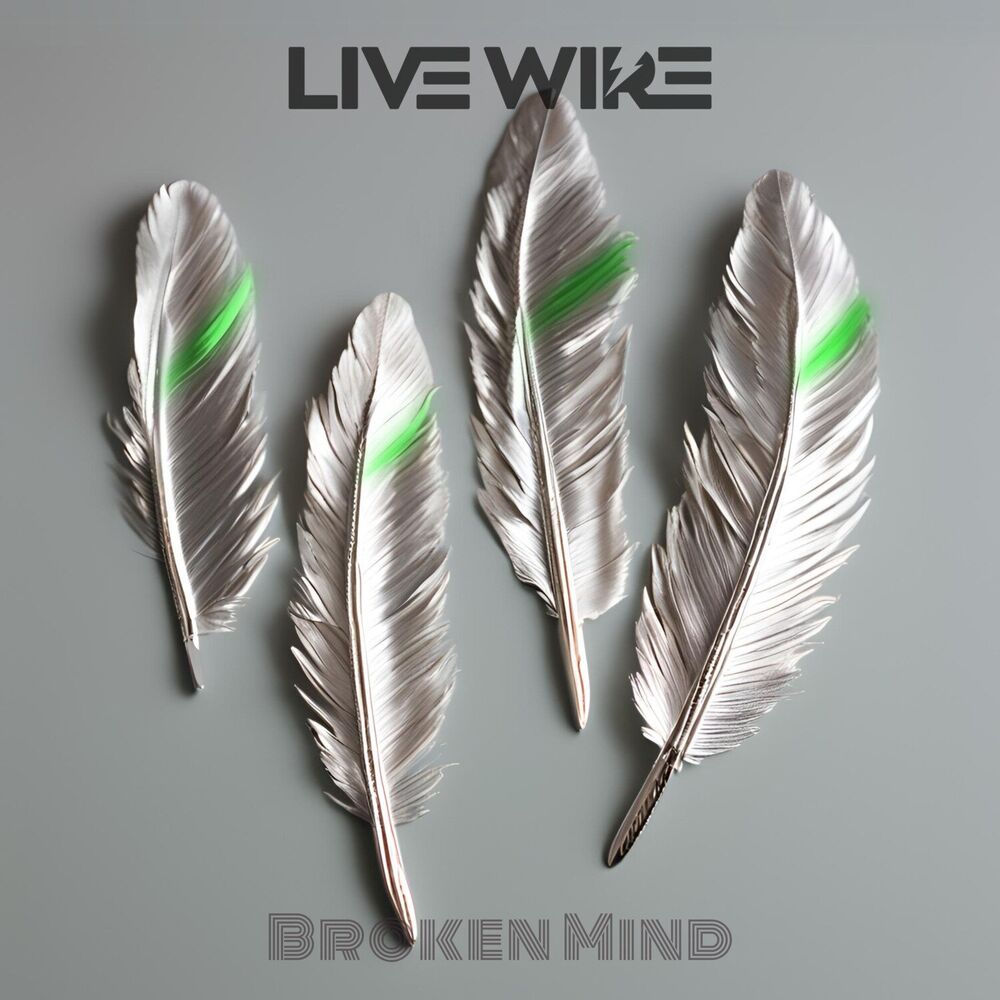 Picture of Broken Mind