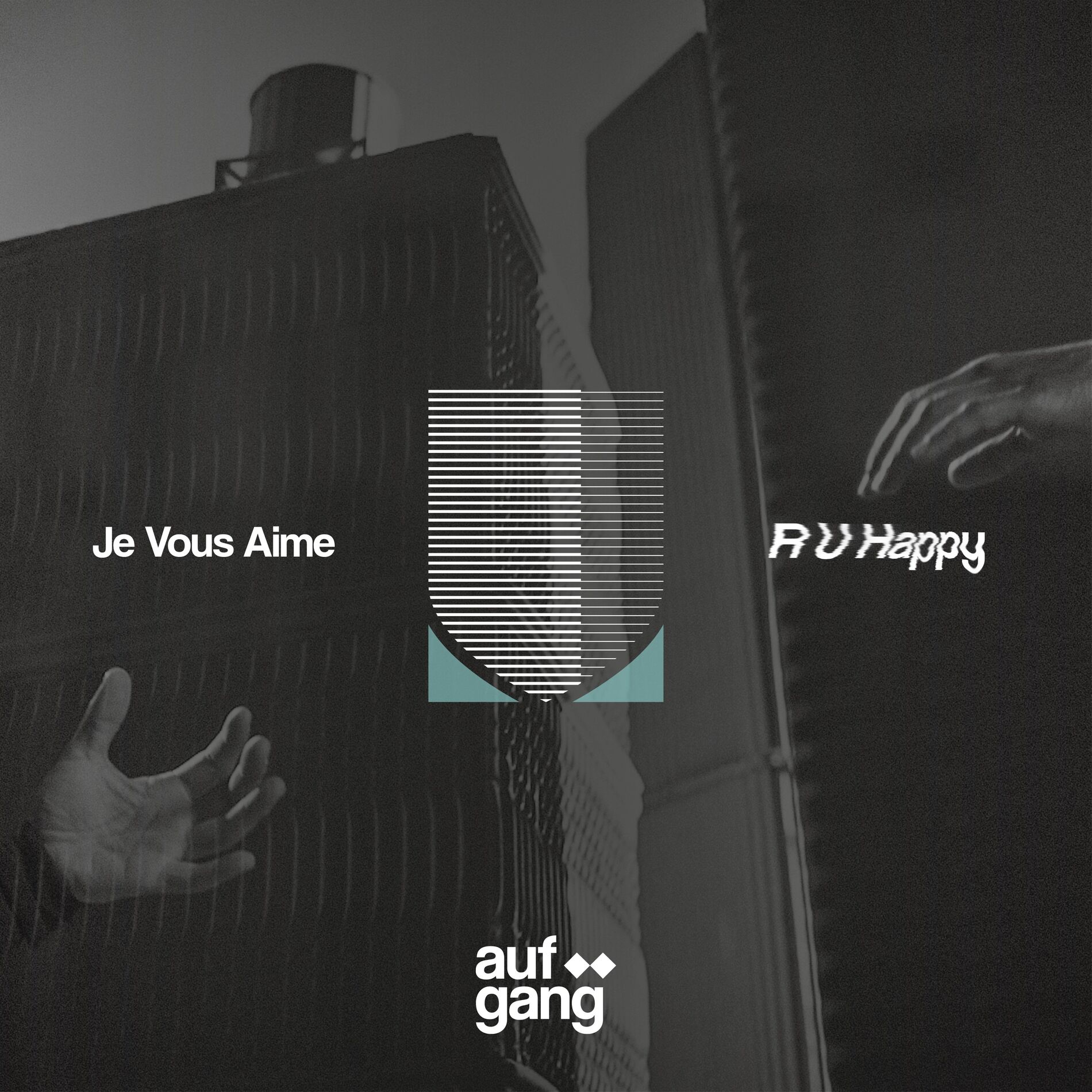Album cover of Je vous aime / R U Happy