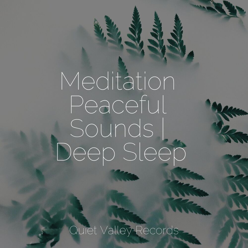 Picture of Meditation Peaceful Sounds | Deep Sleep