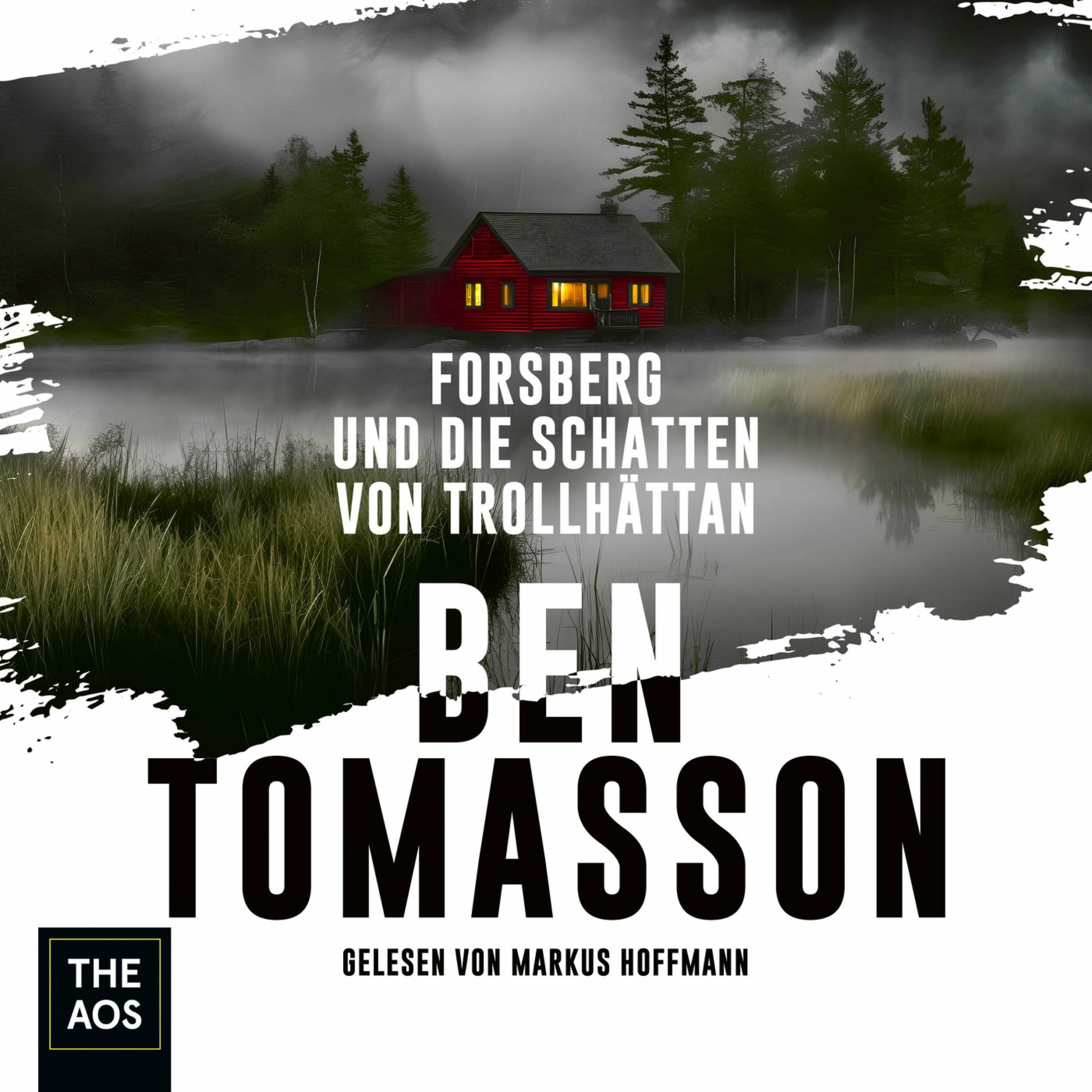 Album cover of Forsberg und die Schatten von Trollhättan