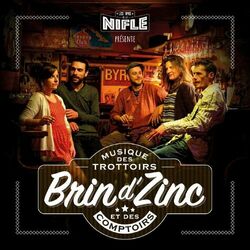 Cover of Brin d'zinc