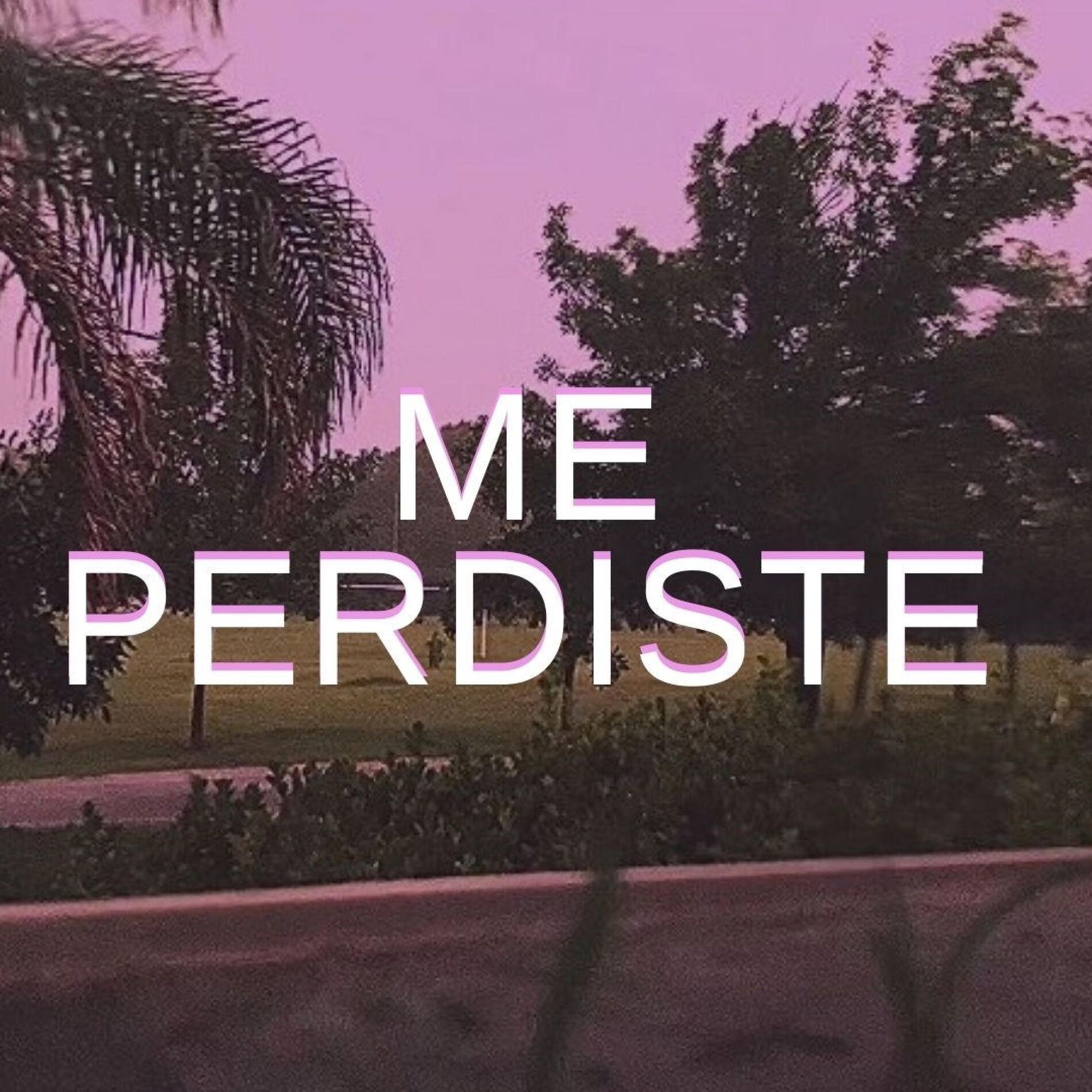 Album cover of Me Perdiste