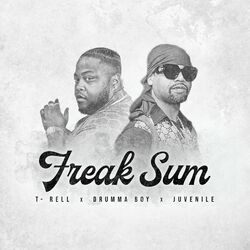 Cover of Freak Sum