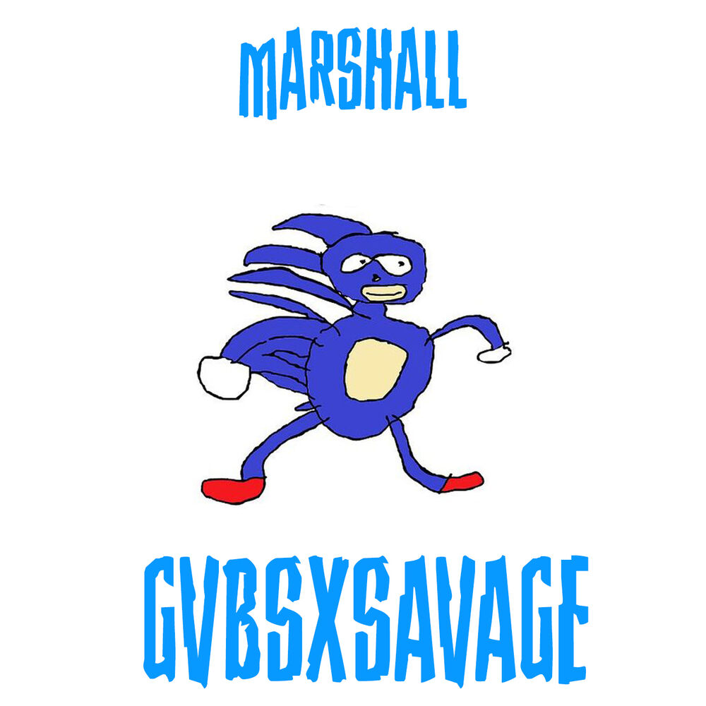 Picture of Go Fast