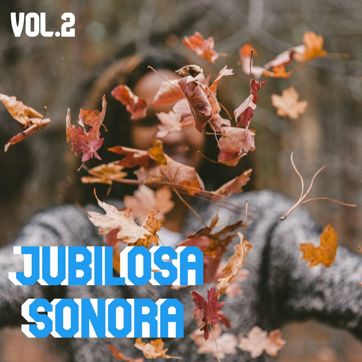 Album cover of Jubilosa Sonora Vol. 2