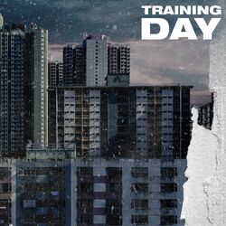 Cover of Training Day