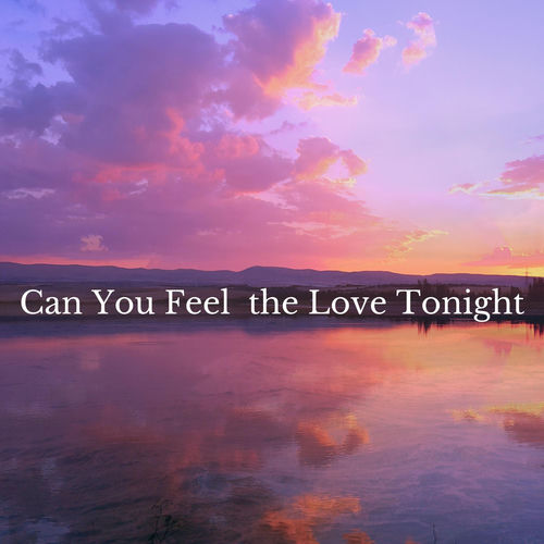 Can You Feel the Love Tonight