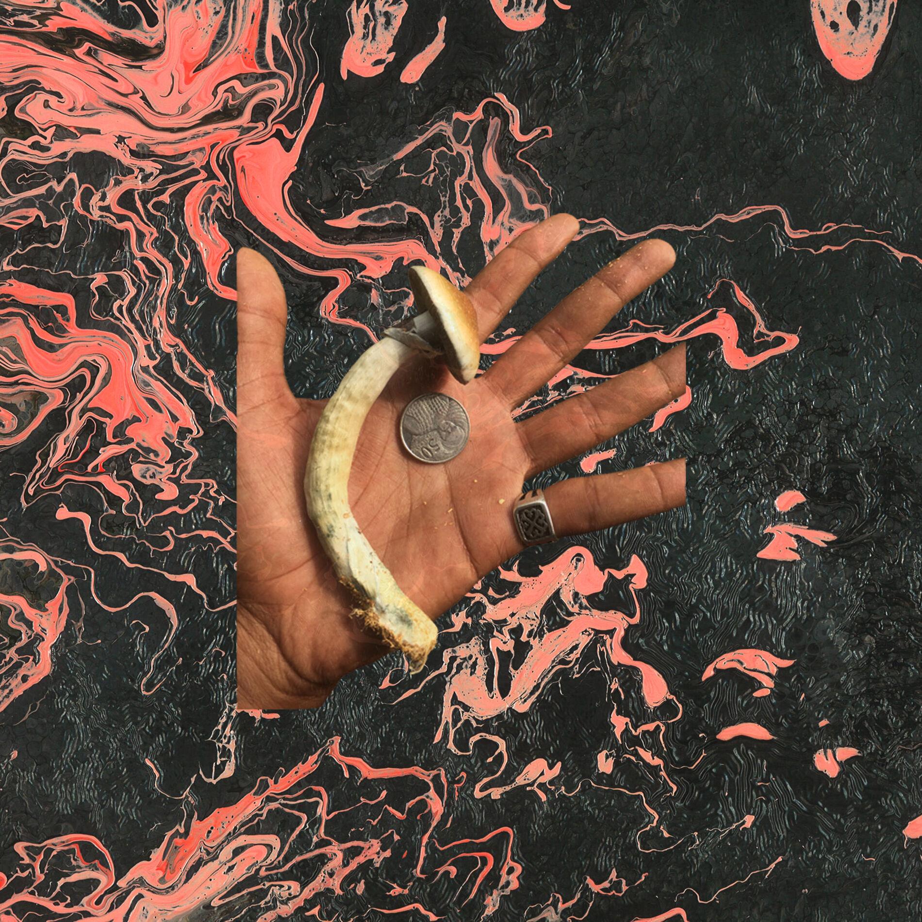 Album cover of February 2020