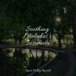 Cover of Soothing Melodies | Insomnia