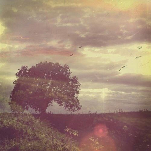 Warm Sunset Piano