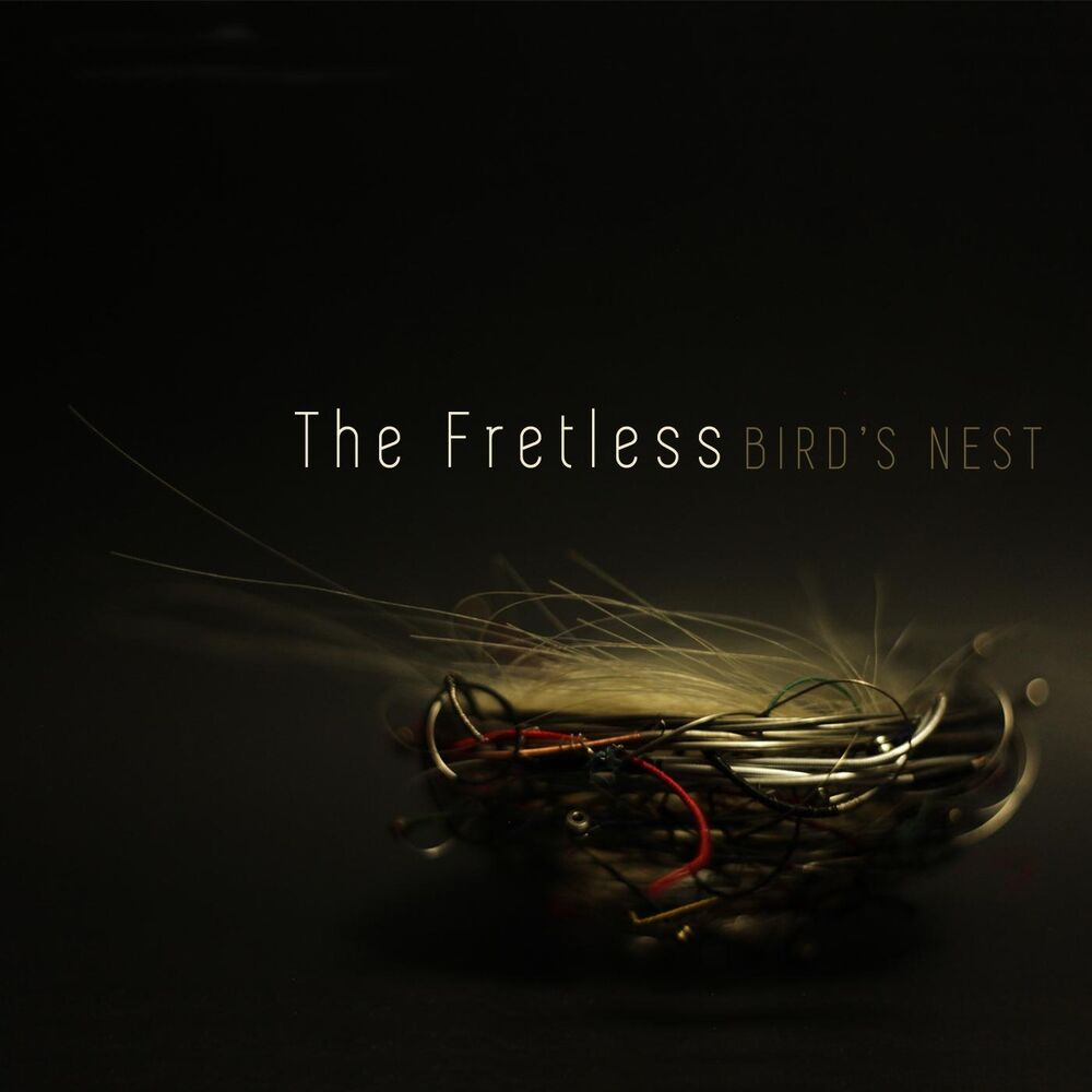 Picture of Bird's Nest
