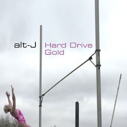 Cover of Hard Drive Gold