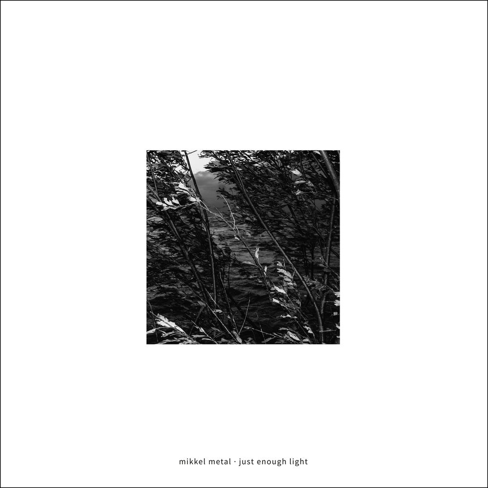 Picture of Just Enough Light