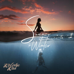 Cover of Summer to Winter