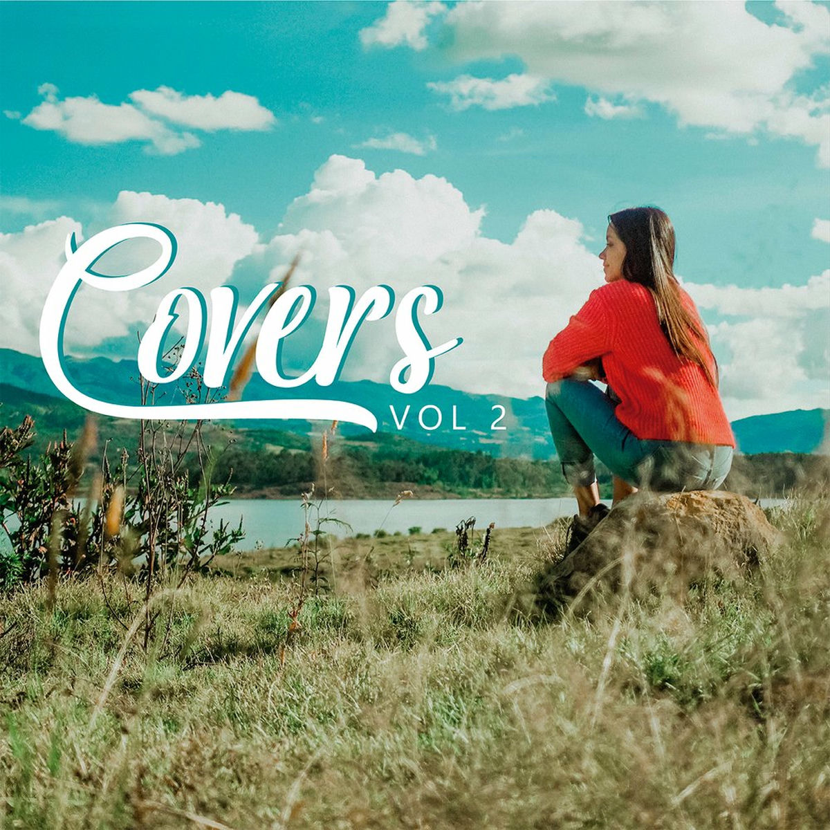 Album cover of Covers Vol 2