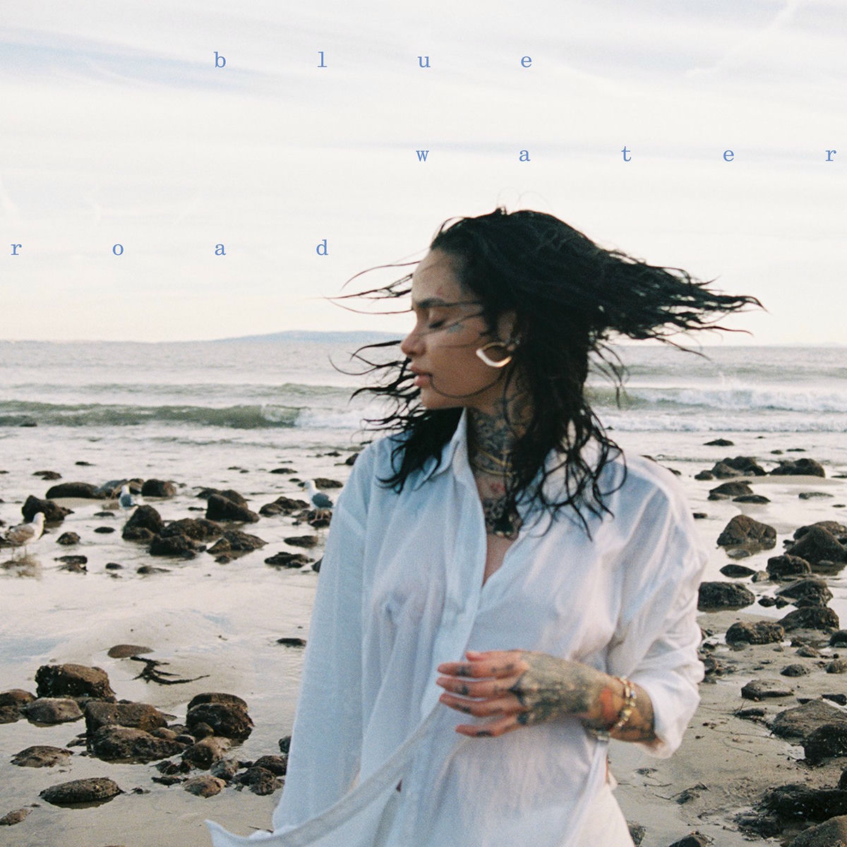 Album cover of blue water road