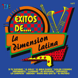 Cover of Éxitos De La Dimensión Latina