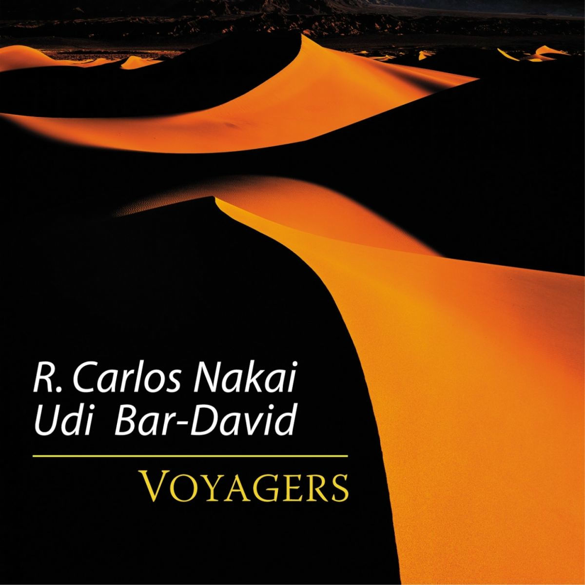 Album cover of Voyagers