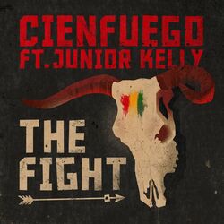 Cover of The Fight