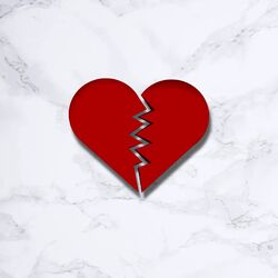 Cover of No Hook
