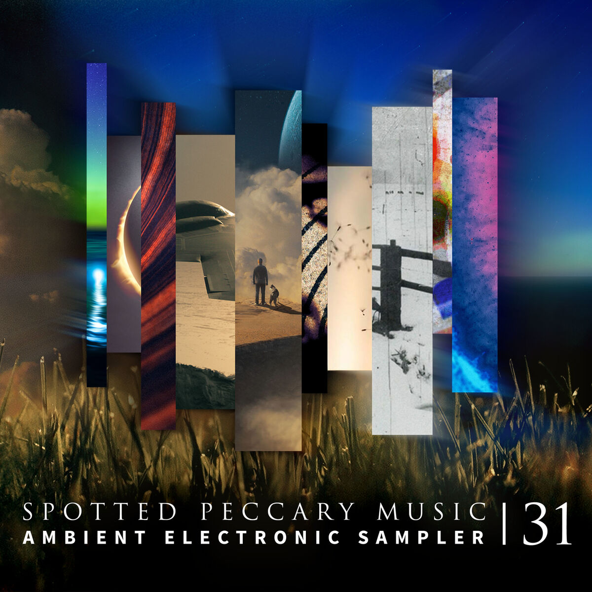 Album cover of 31