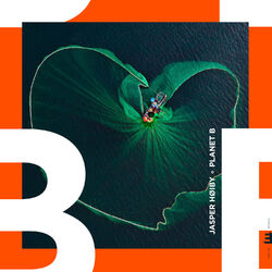 Cover of Interconnectedness