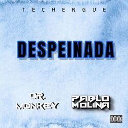 Despeinada (Techengue)