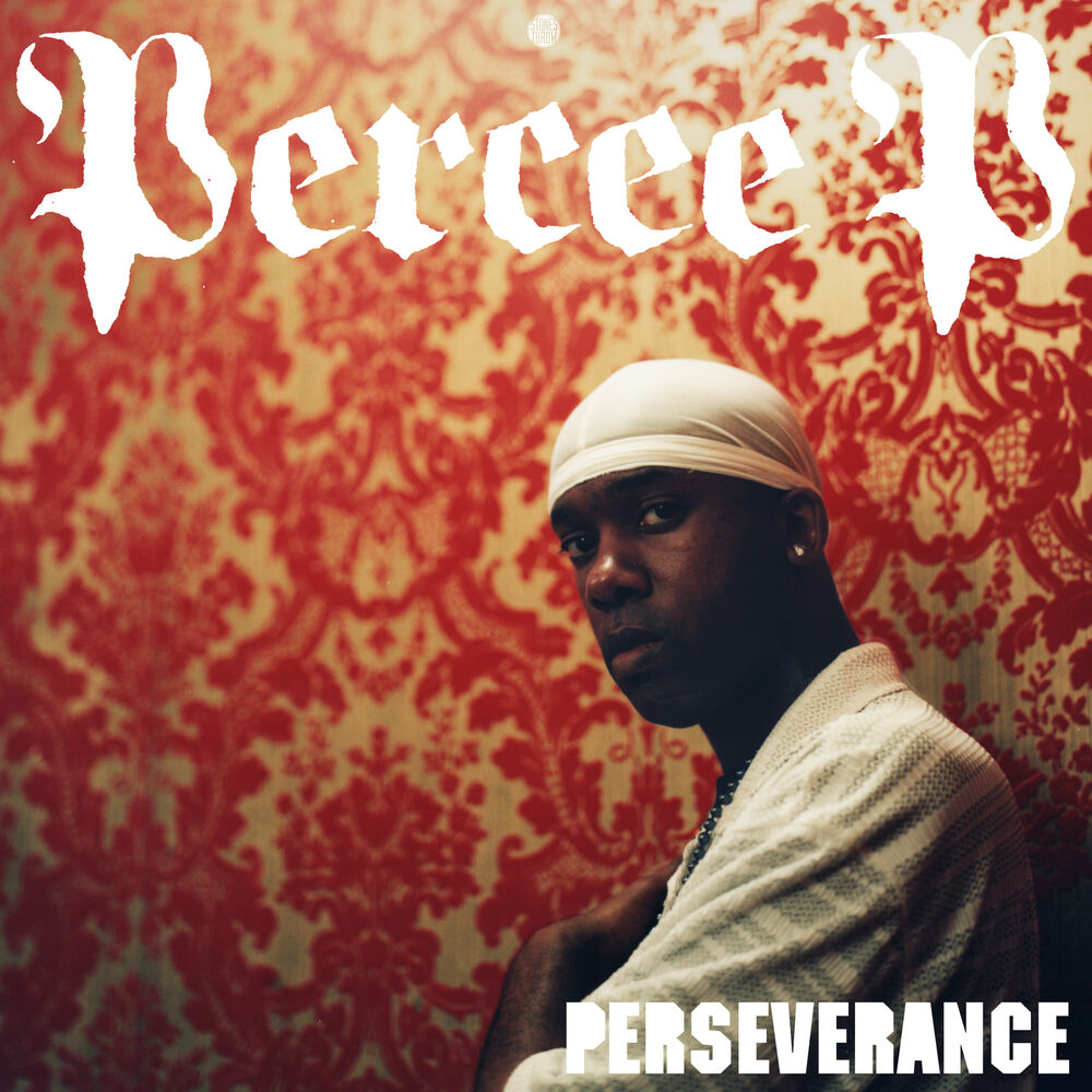 Picture of Perseverance