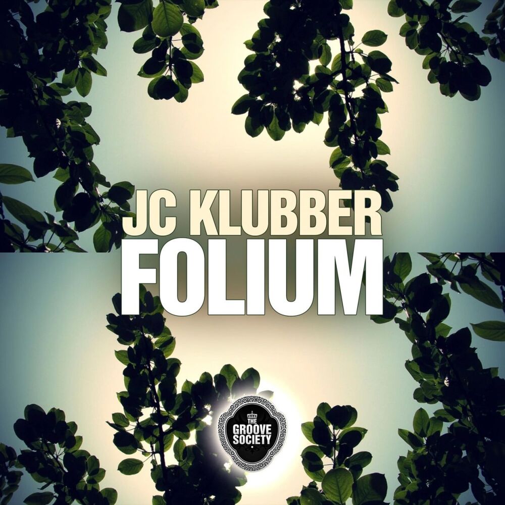 Picture of Folium