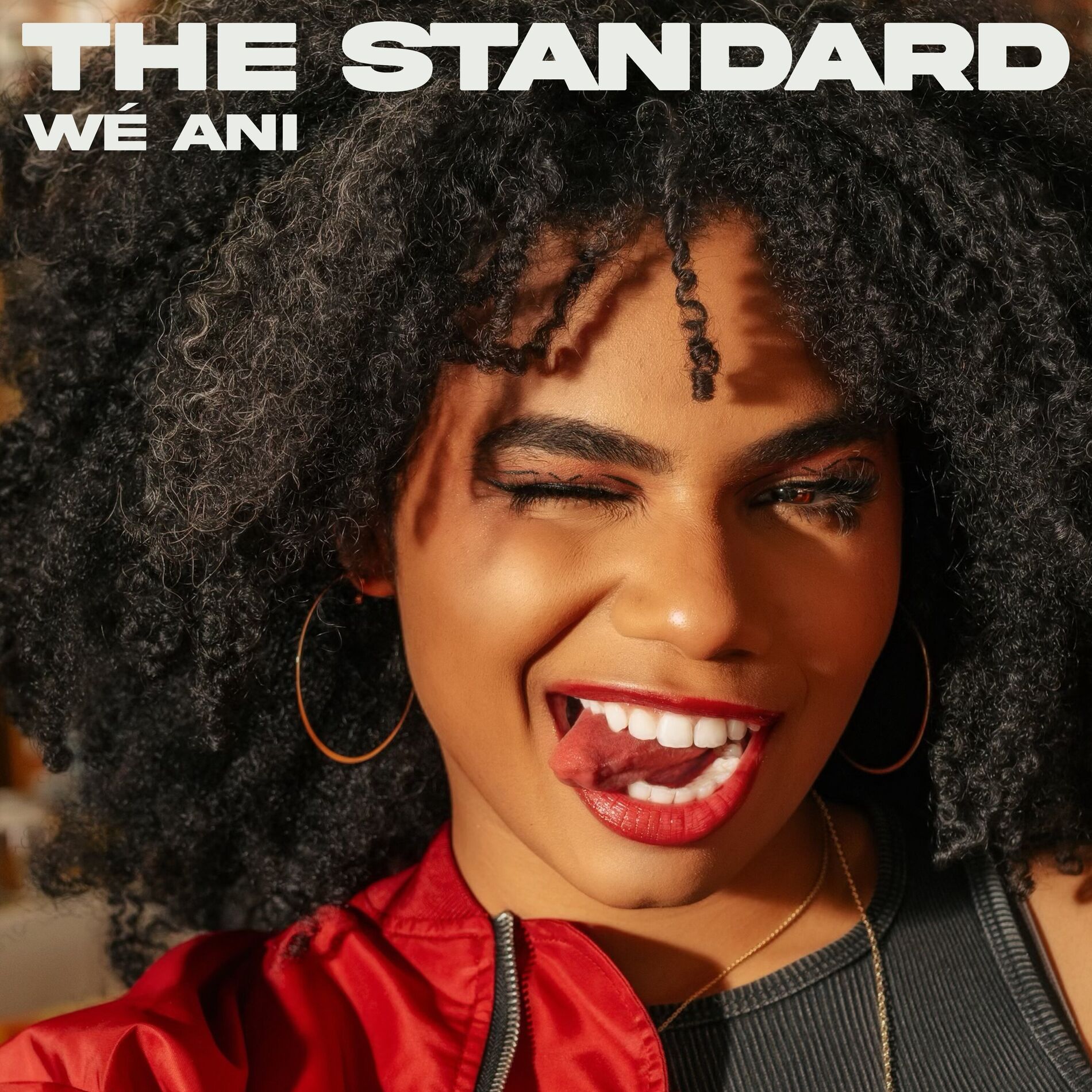 Album cover of The Standard