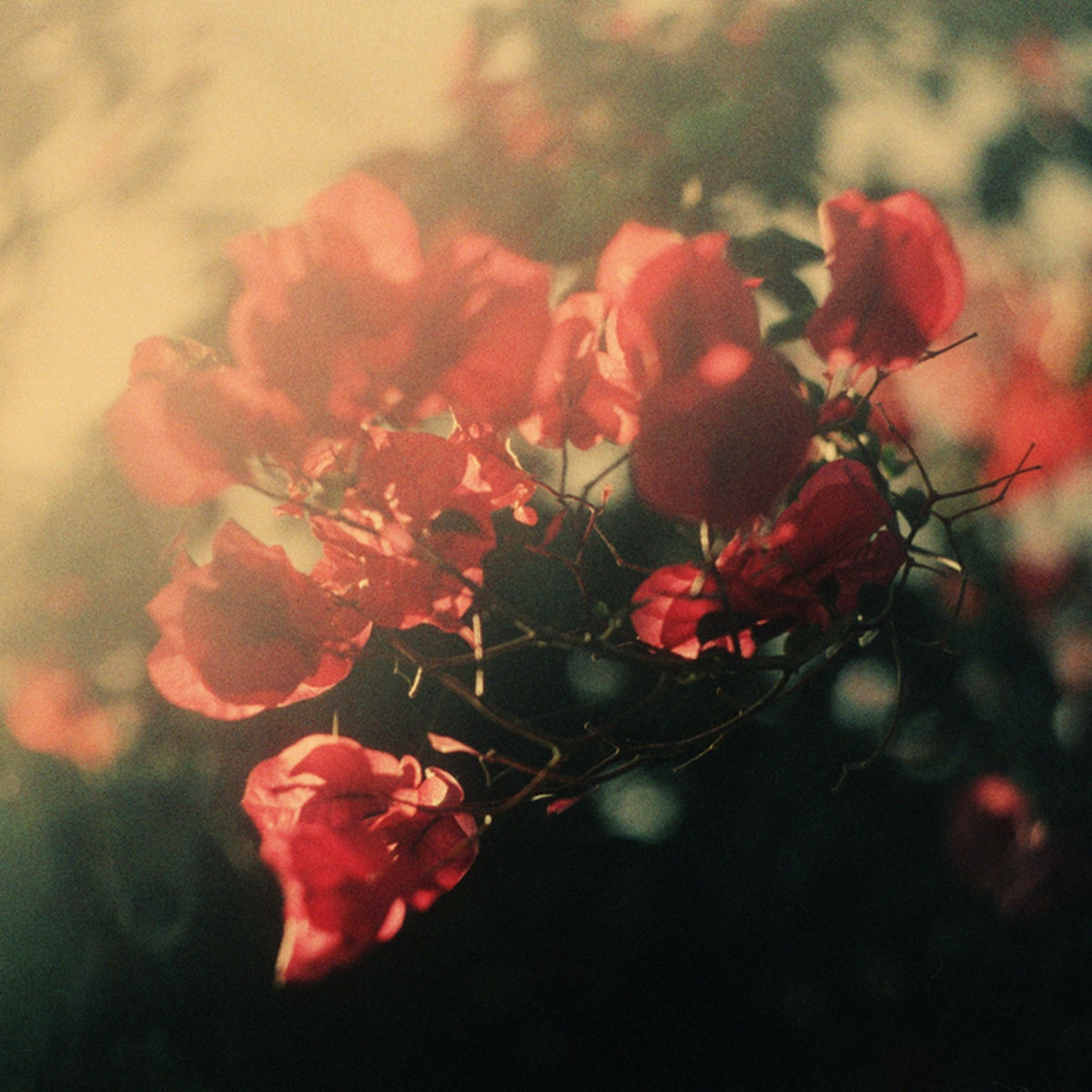 Album cover of Hearts