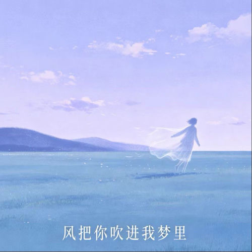 风把你吹进我梦里