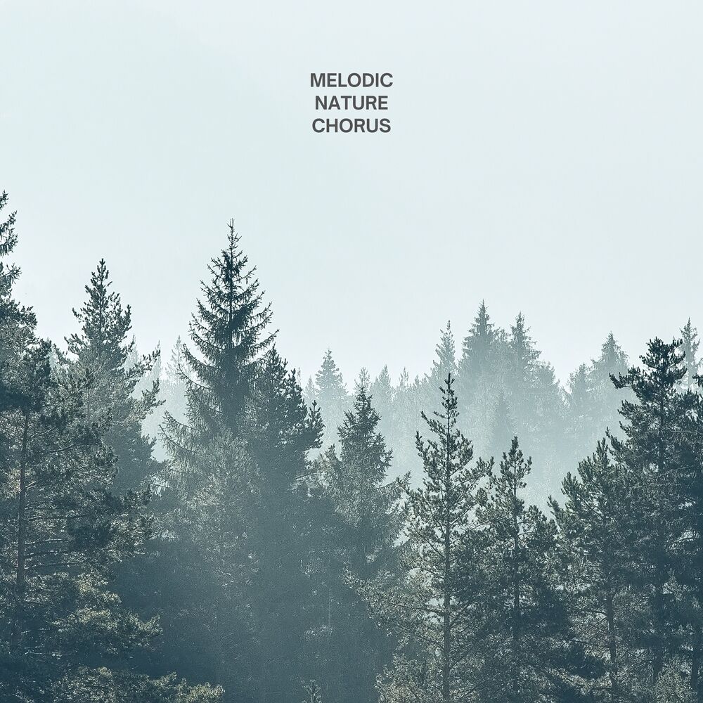 Picture of Melodic Nature Chorus